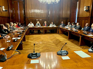Mesa parlament