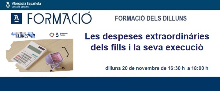 Despeses extraordinaries fills